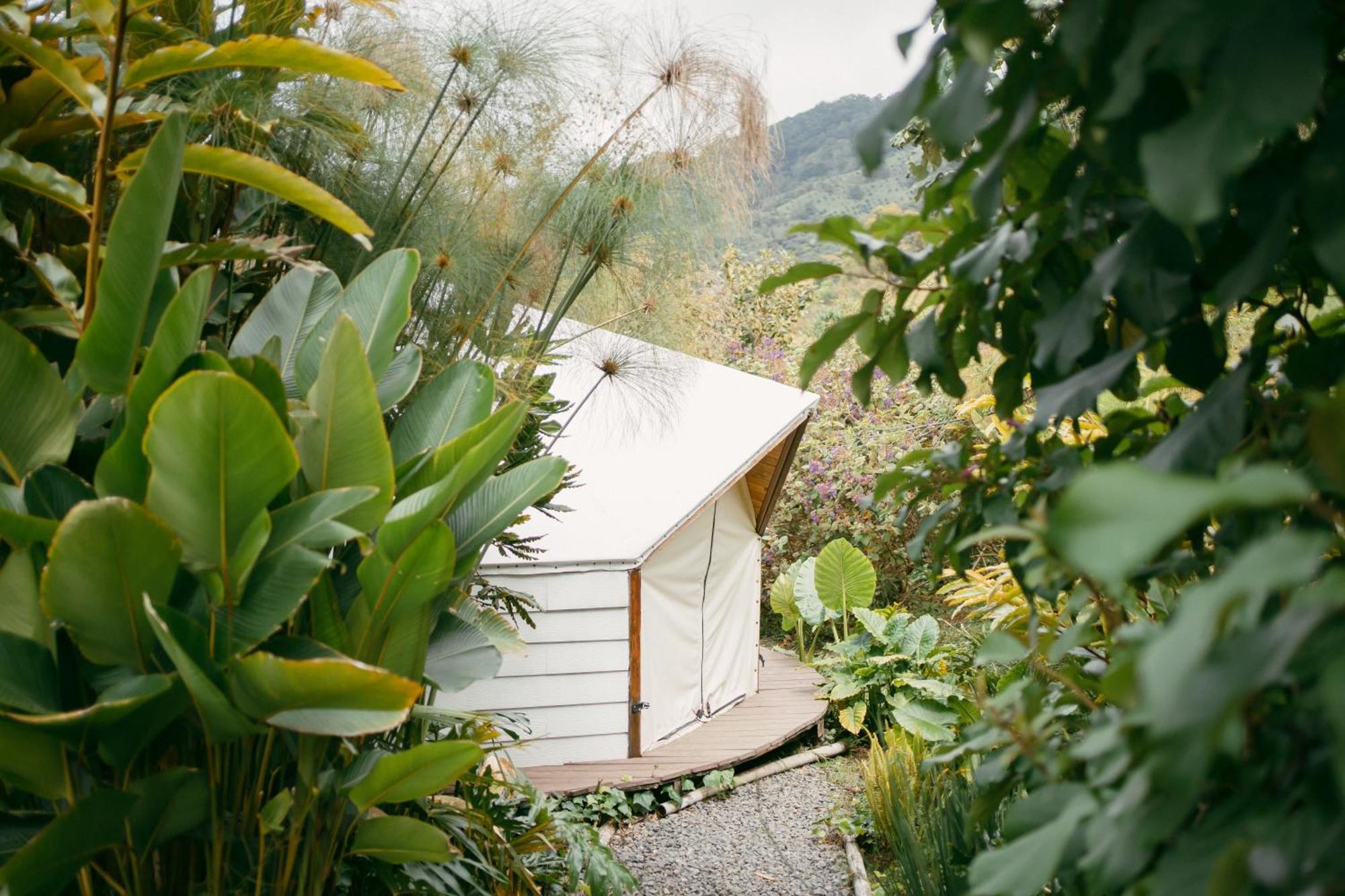 Villa Glamping Lumbre Salento Exterior foto